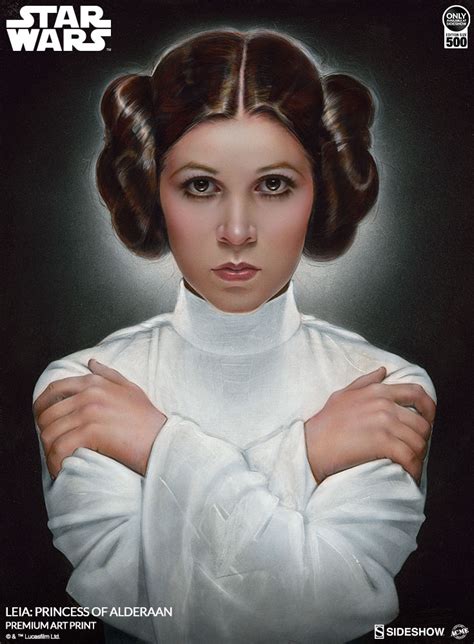 princess leia hentai|Artist: Albrid